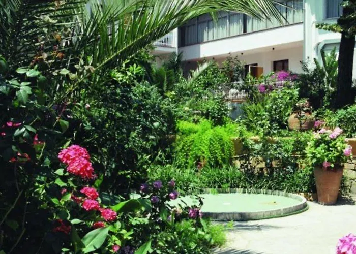 Clipper Affiliated By Fergus 2*